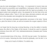 TESTO E 250 Para Pharma