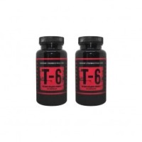 ZION LABS T-6 60 kapsul 2x Zion Labs